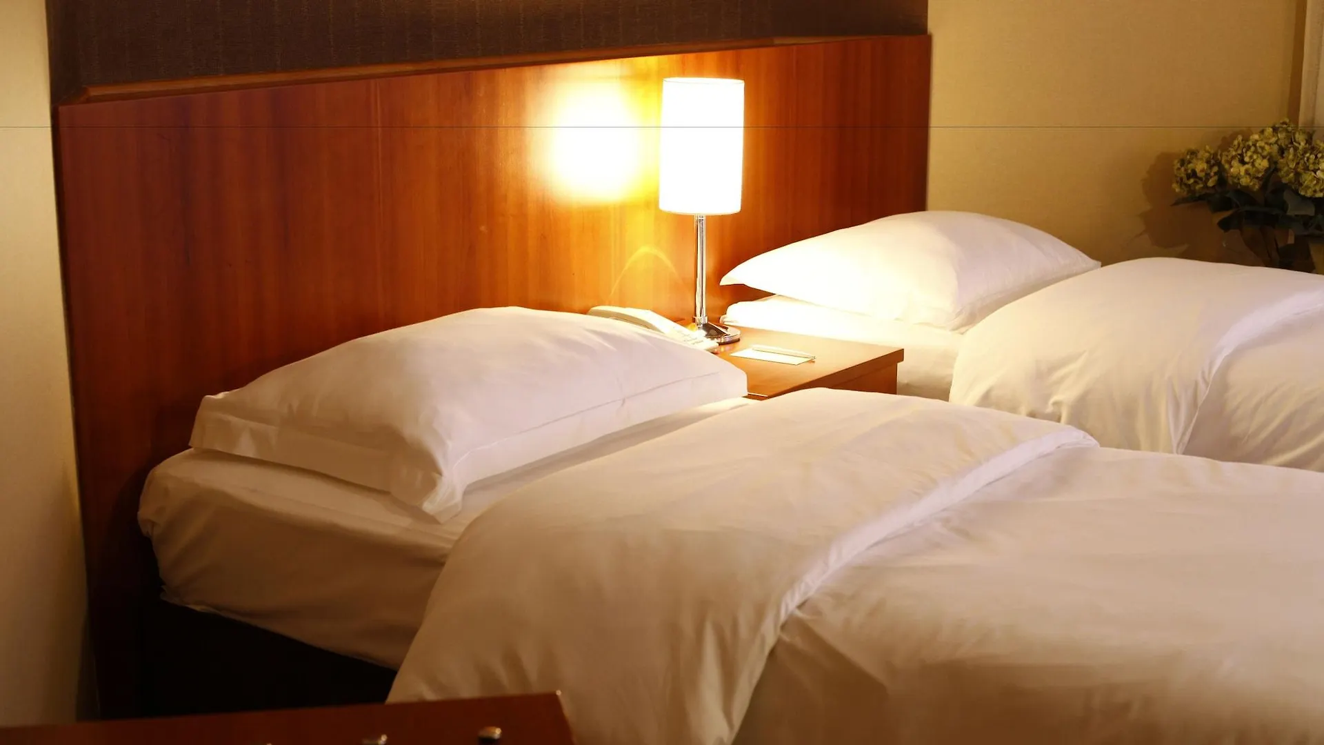 *****  Cinar Hotel Istanbul Turkey